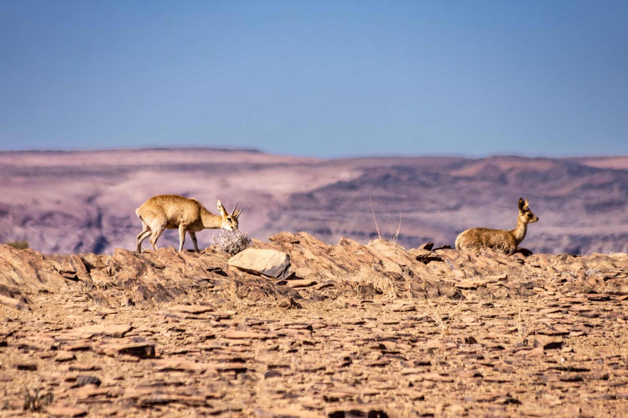 Fish River Lodge Ariamab Bagian luar foto